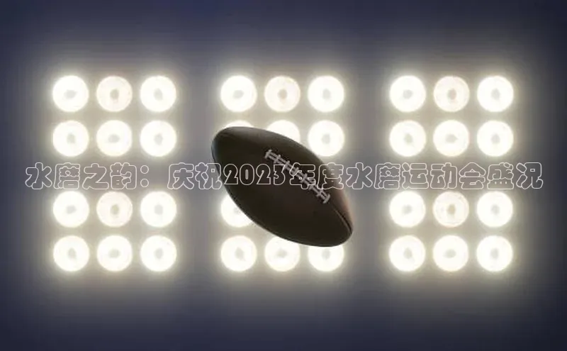 水磨之韵：庆祝2023年度水磨运动会盛况