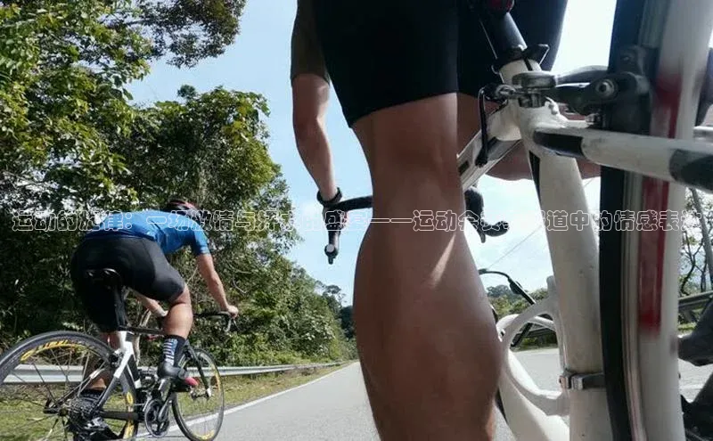 运动的旋律：一场激情与汗水的盛宴——运动会赛事报道中的情感表达