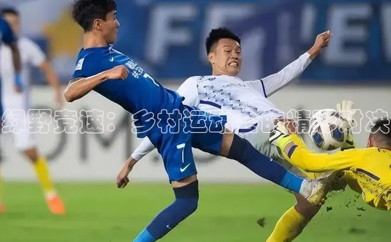 绿野竞速：乡村运动会的精彩对决