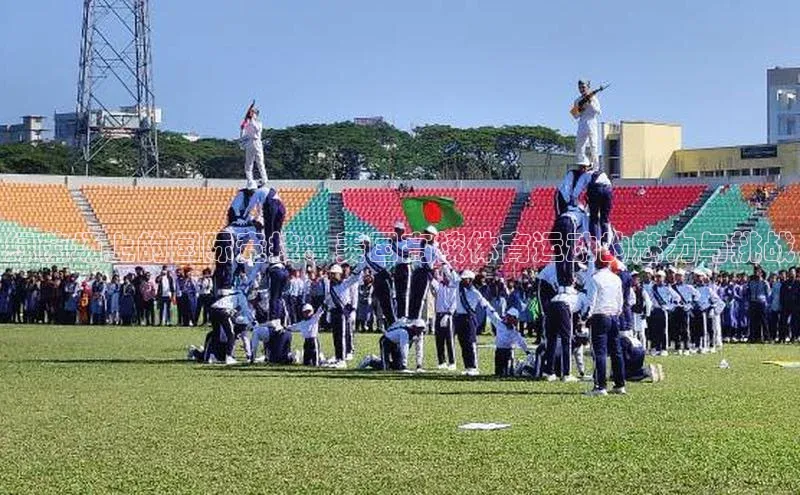 绿茵场上的国际竞技：美国高校体育运动的魅力与挑战